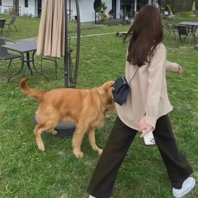 宫本武藏